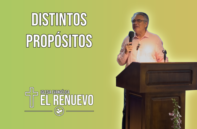 miniatura (1)